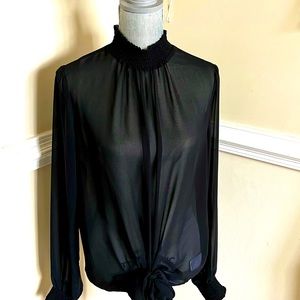 Elegant sheer Smocked Mock Neck Tie Front Top
